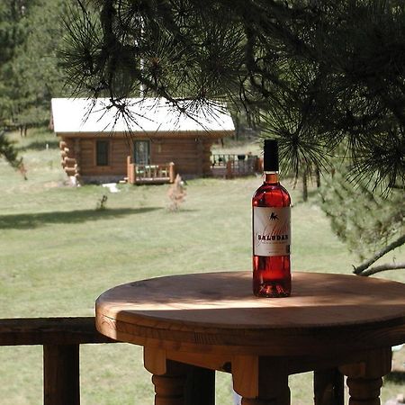 Renegade Log Cabin Къстър Екстериор снимка